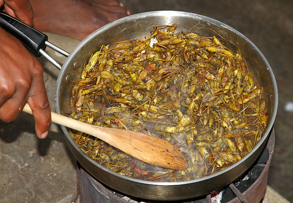 A section of people vomit, develop stomachache after feasting on grasshoppers in Kasese